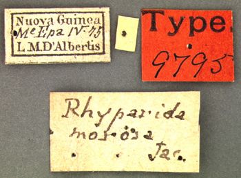 Media type: image; Entomology 9795   Aspect: labels